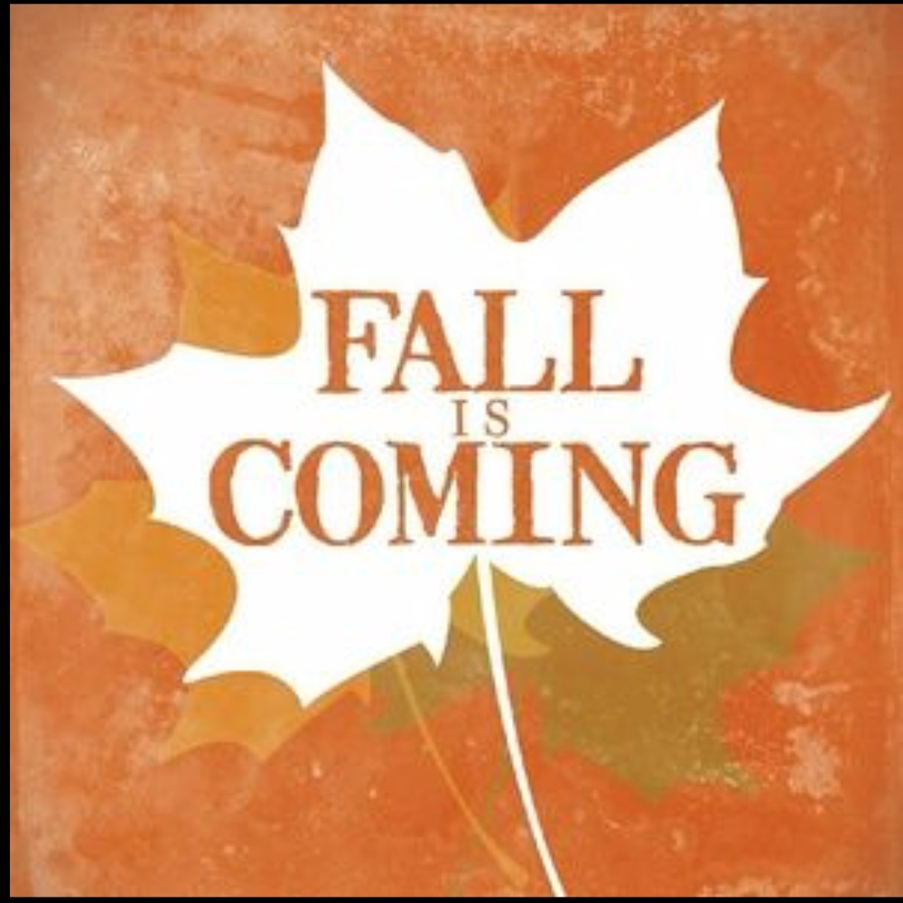 Check out my toddler girl fall & winter items!!!